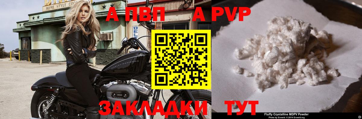 Псилоцибиновые грибы Великий Новгород