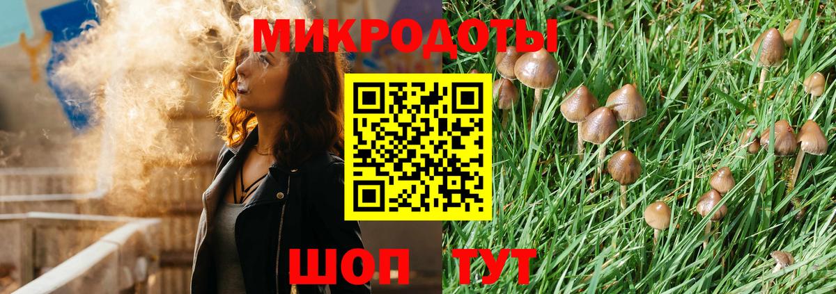 Галлюциногенные грибы Psilocybine cubensis  Вход с VPN  Великий Новгород  Галлюциногенные грибы MAGIC MUSHROOMS 
