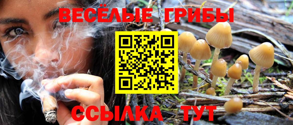 Псилоцибиновые грибы GOLDEN TEACHER Великий Новгород